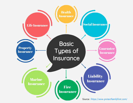 Types of Insurance Your Business May Need